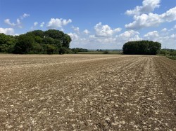 Images for Somerton
