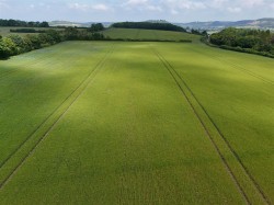 Images for Somerton