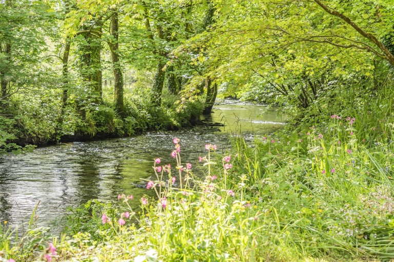 Images for Golberdon, Callington