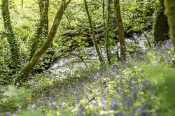 Images for Golberdon, Callington