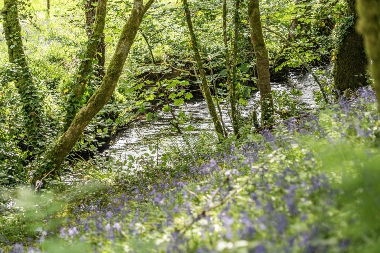 Images for Golberdon, Callington