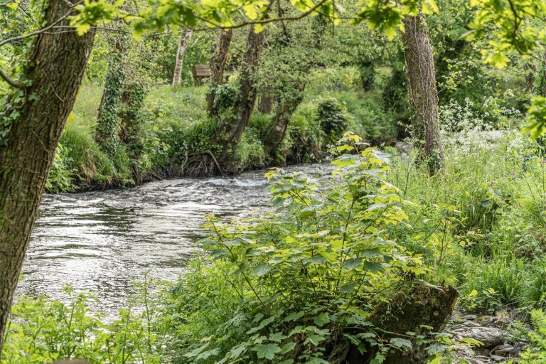 Images for Golberdon, Callington