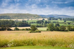Images for Peggs Farm, Farrington, Blandford