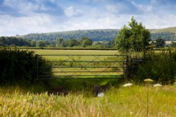 Images for Peggs Farm, Farrington, Blandford