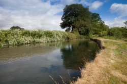 Images for Peggs Farm, Farrington, Blandford