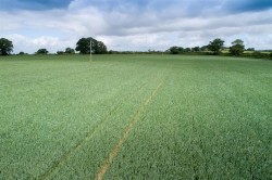 Images for Peggs Farm, Farrington, Blandford