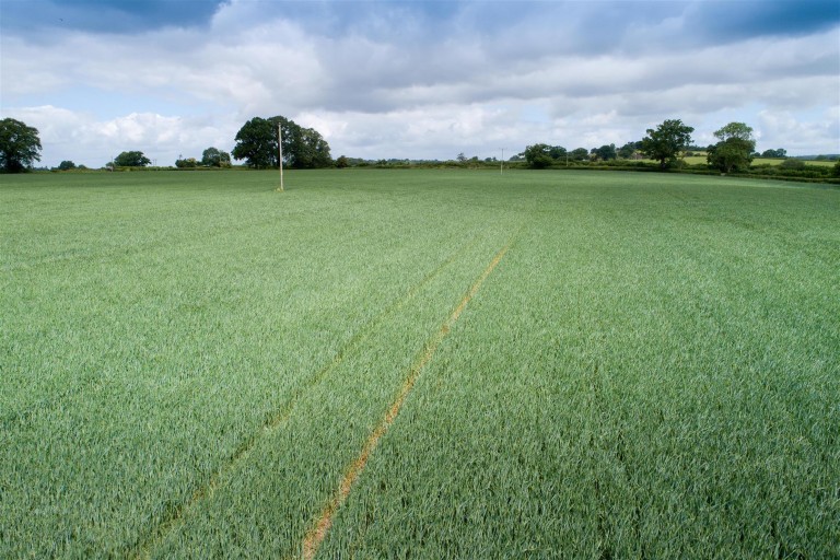 Images for Peggs Farm, Farrington, Blandford