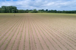 Images for Peggs Farm, Farrington, Blandford