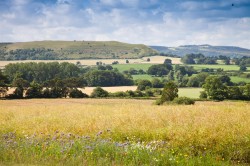 Images for Peggs Farm, Farrington, Blandford