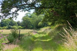 Images for Peggs Farm, Farrington, Blandford