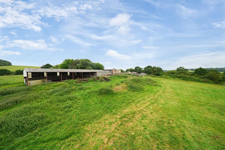 Click the photo for more details of Neopardy, Crediton