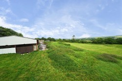Images for Neopardy, Crediton