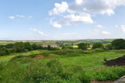 Images for Neopardy, Crediton