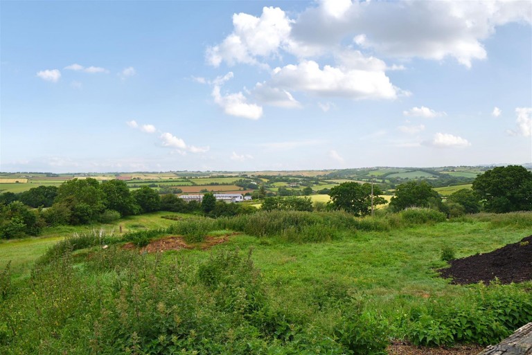 Images for Neopardy, Crediton