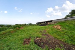 Images for Neopardy, Crediton