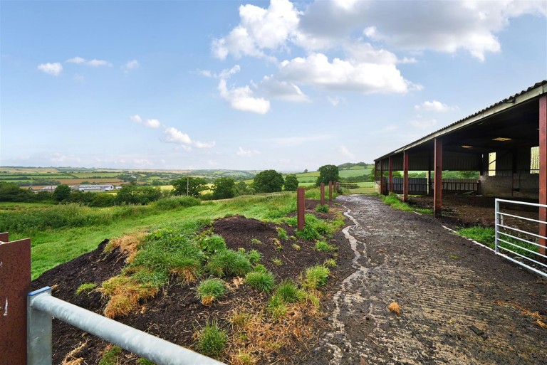 Images for Neopardy, Crediton
