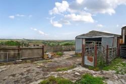 Images for Neopardy, Crediton