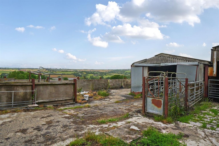 Images for Neopardy, Crediton
