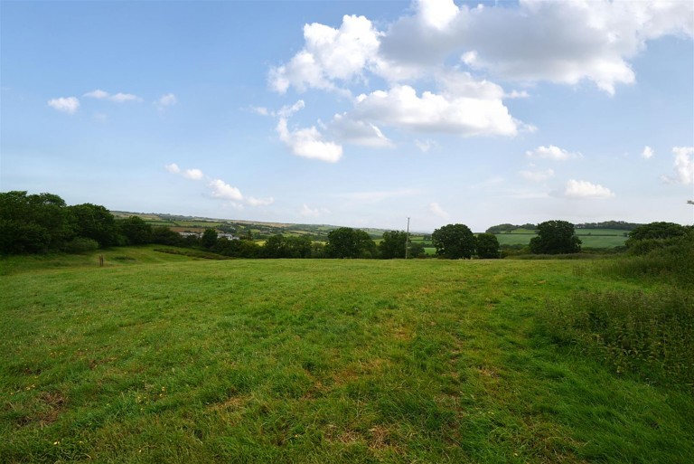 Images for Neopardy, Crediton