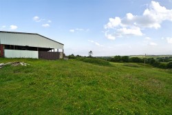 Images for Neopardy, Crediton