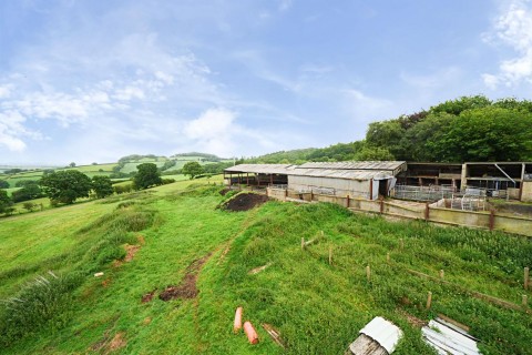 Click the photo for more details of Neopardy, Crediton