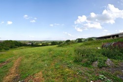 Images for Neopardy, Crediton