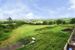 Images for Neopardy, Crediton