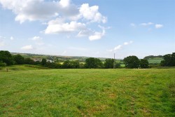 Images for Neopardy, Crediton