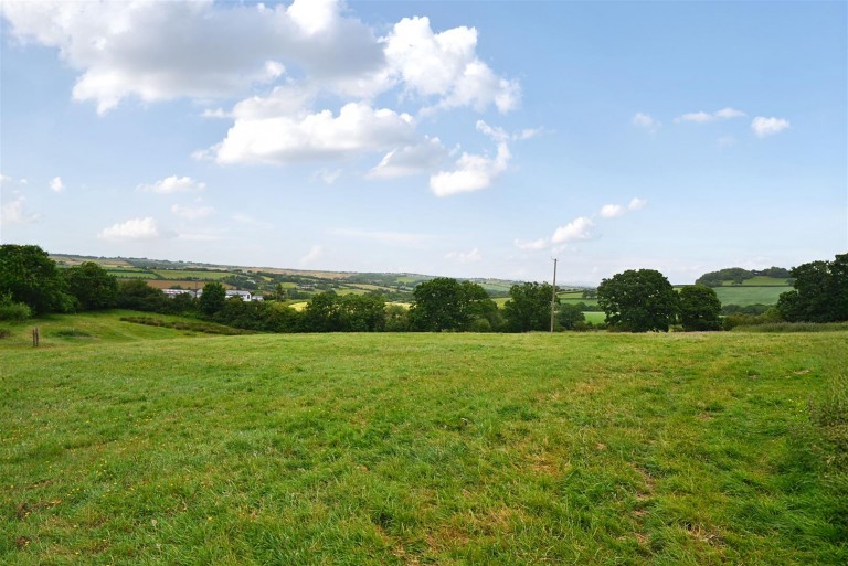 Images for Neopardy, Crediton