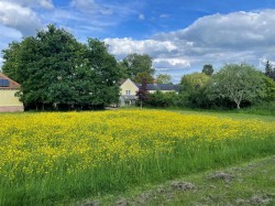 Images for Church End, Ashdon, Saffron Walden