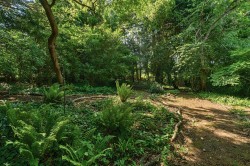 Images for Chideock, Bridport