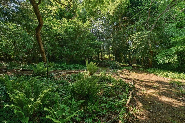 Images for Chideock, Bridport