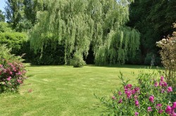 Images for Bickleigh, Tiverton