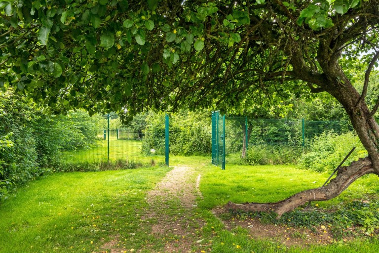 Images for Chave Lane, Brithem Bottom, Cullompton
