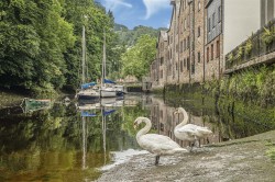 Images for The Plains, Totnes