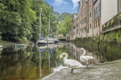 Images for The Plains, Totnes