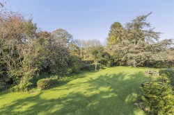 Images for Chardstock, Axminster