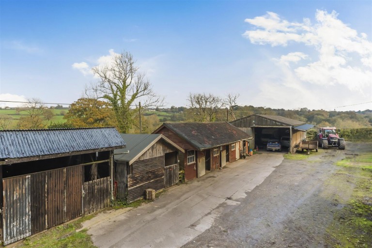 Images for Chardstock, Axminster