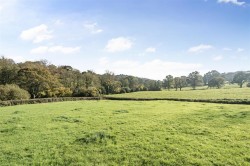 Images for Chardstock, Axminster