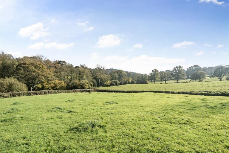 Images for Chardstock, Axminster