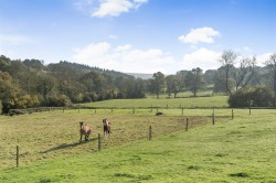 Images for Chardstock, Axminster