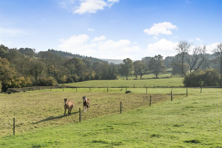 Images for Chardstock, Axminster