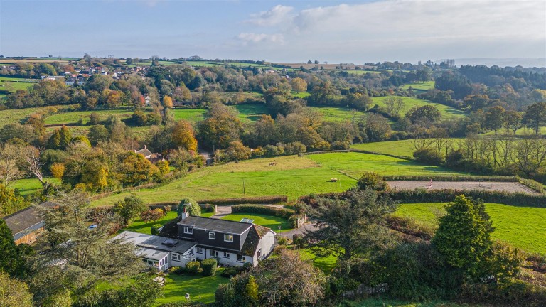 Images for Chardstock, Axminster
