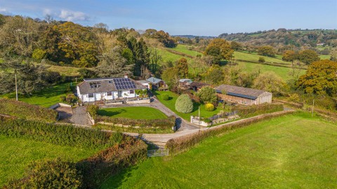 Click the photo for more details of Chardstock, Axminster