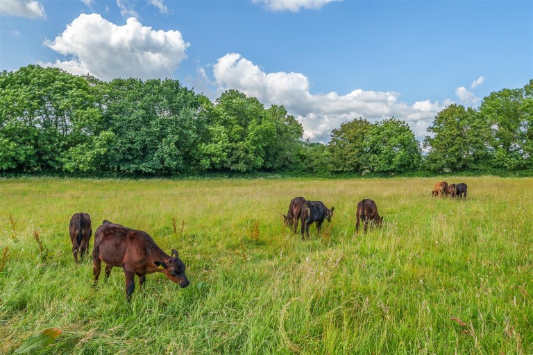 Images for Musbury, Axminster, Devon