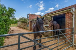 Images for Musbury, Axminster, Devon