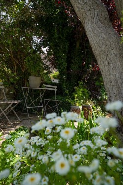 Images for Upper Quinton, Warwickshire