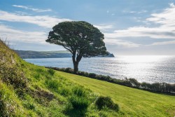Images for Pendower Beach