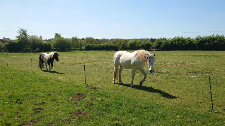 Images for Claycastle, Haselbury Plucknett, Crewkerne