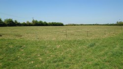 Images for Claycastle, Haselbury Plucknett, Crewkerne